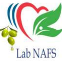 Logo Structure